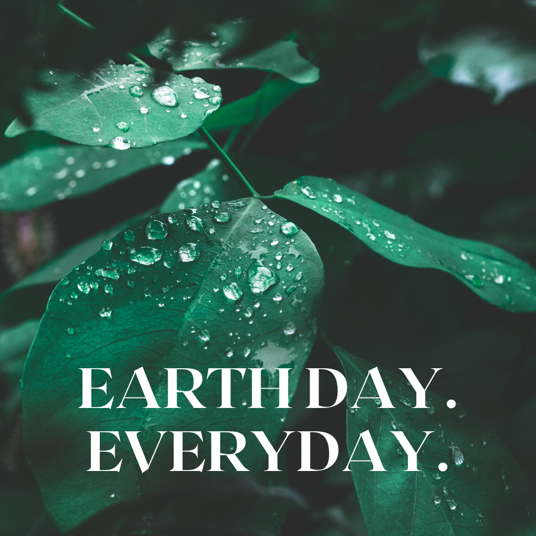 HAPPY EARTH DAY 2021 - Revealing our C02 offset program