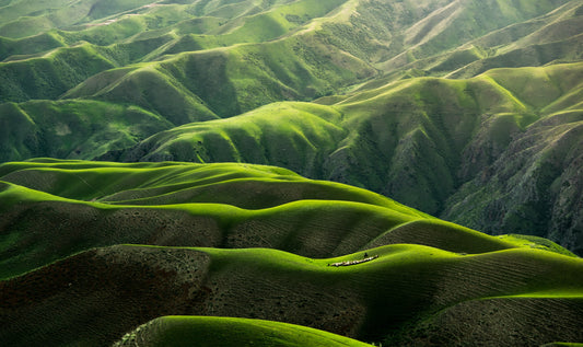 Earth Month : 6 ways to help the planet NOW