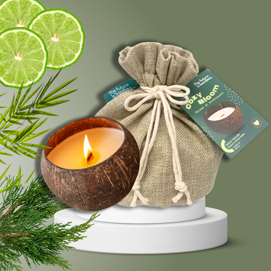 The future is bright Holiday Set *FREE SHIPPING* - The Future is Bamboo