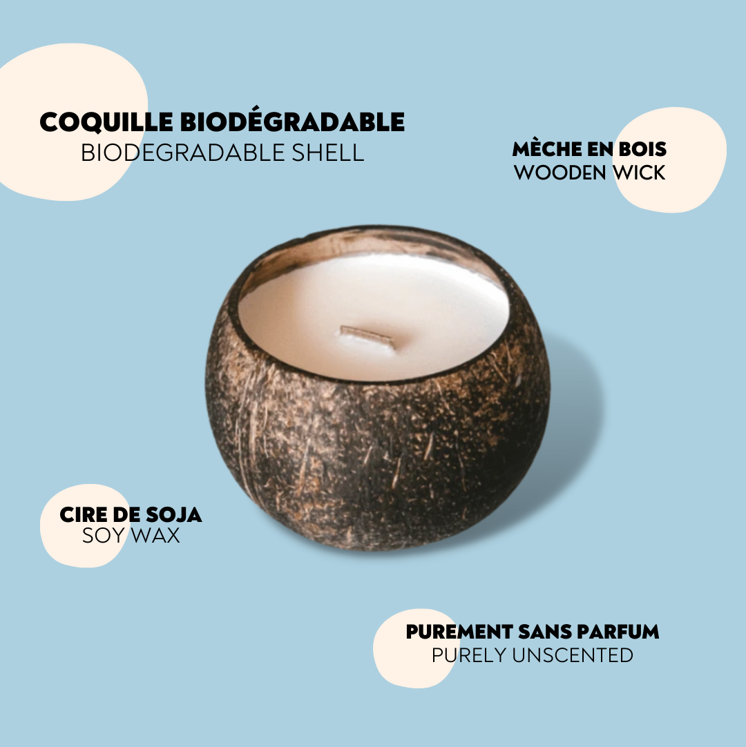 CLEAN BLOOM Coco-Candle - The Future is Bamboo 