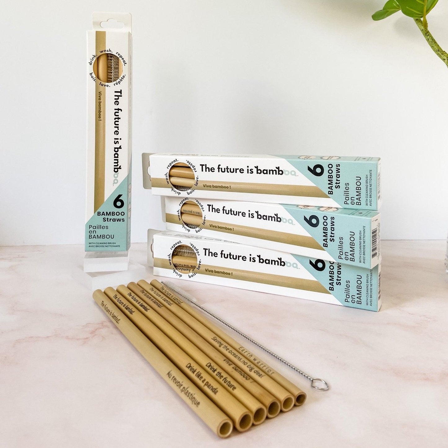 Bamboo Straws 6-Pack - The Future is Bamboo