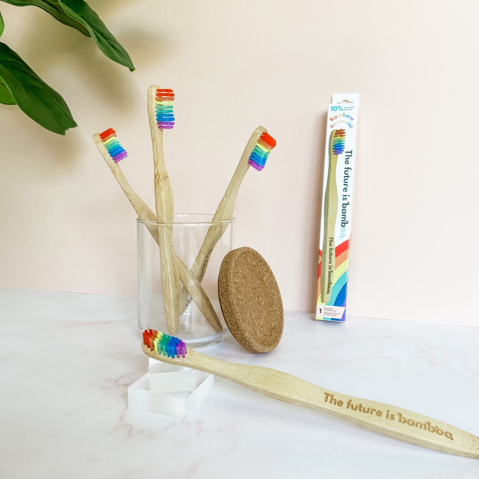 Rainbow Bamboo Toothbrushes - Adult Soft 4-Pack - The Future is Bamboo