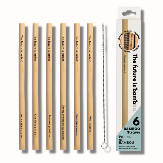 Bamboo Straws 6-Pack - The Future is Bamboo