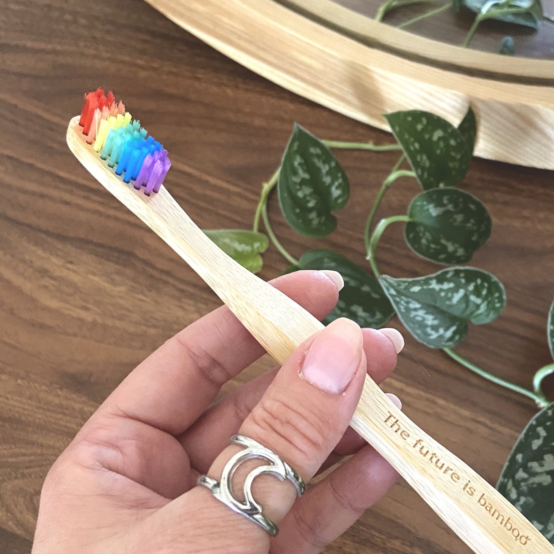 Rainbow Bamboo Toothbrushes - Adult Soft 4-Pack - The Future is Bamboo