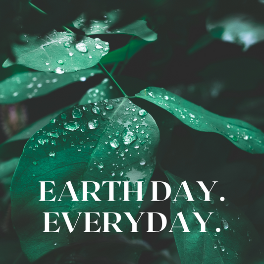 HAPPY EARTH DAY 2021 - Revealing our C02 offset program