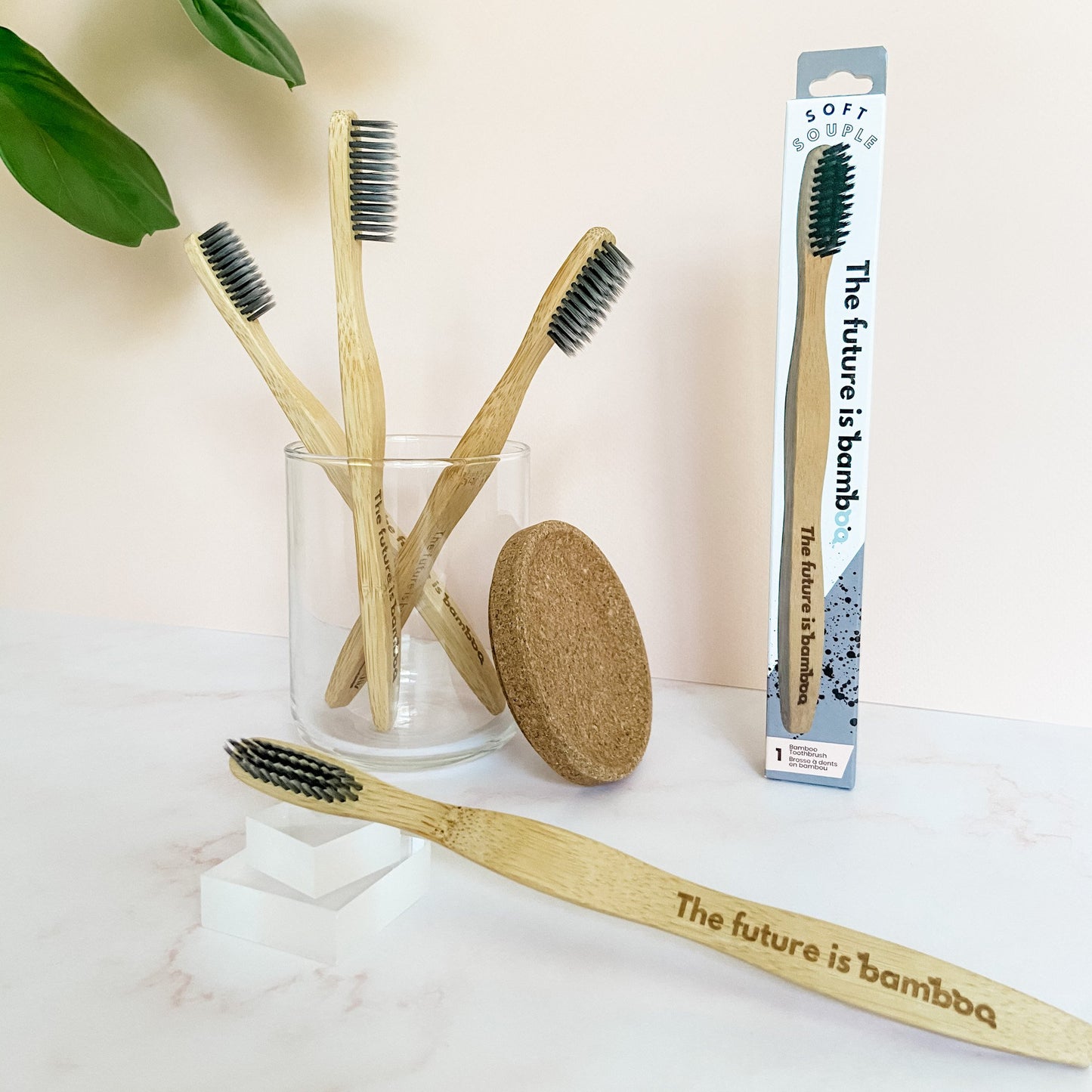 Charcoal Bamboo Toothbrushes 4-pack