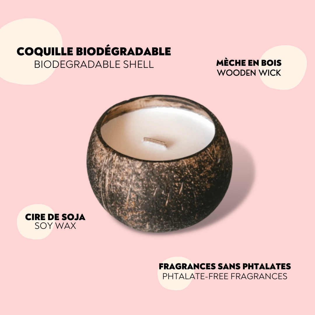 SUGAR BLOOM - Coco-Candle - The future is bamboo 