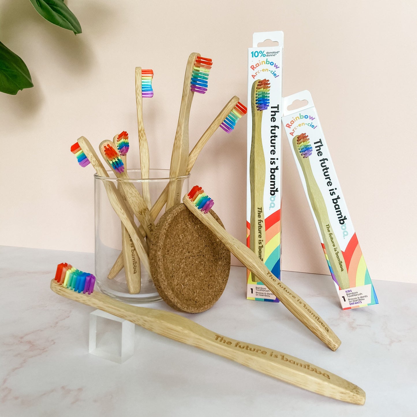 Rainbow Bamboo Toothbrushes Family 8-Pack - The Future is Bamboo 